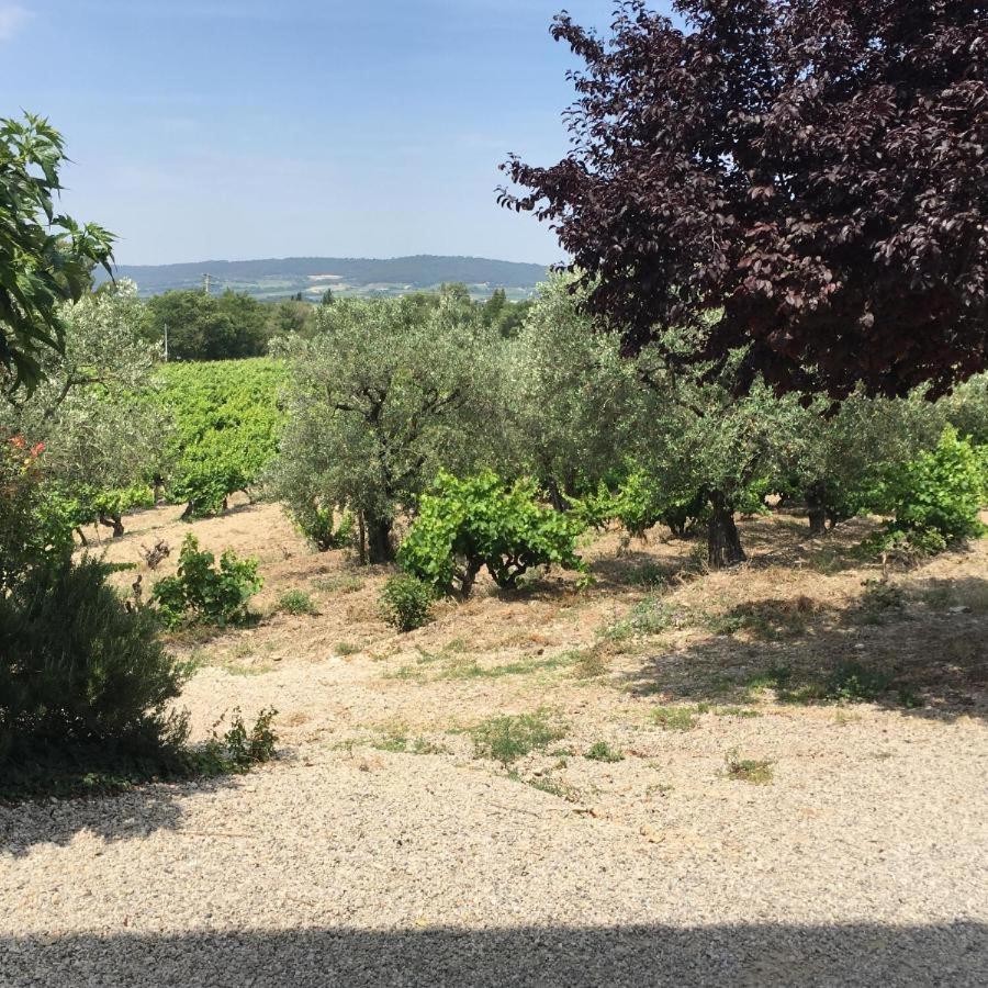 Mas Du Prescondu Villa Mirabel-aux-Baronnies Eksteriør billede